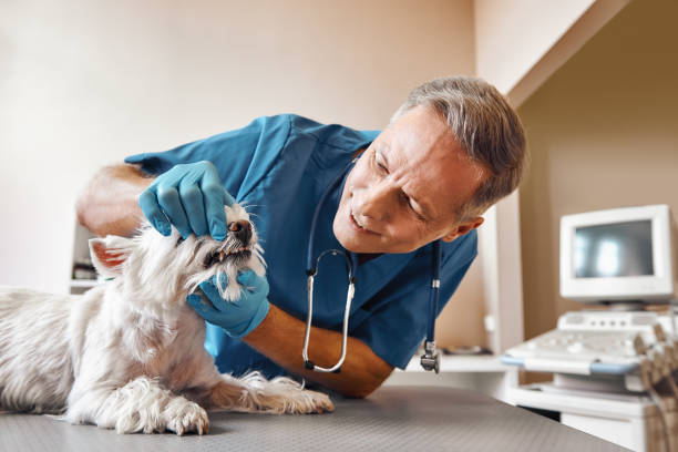 Best Emergency Tooth Extraction in Independence, MO
